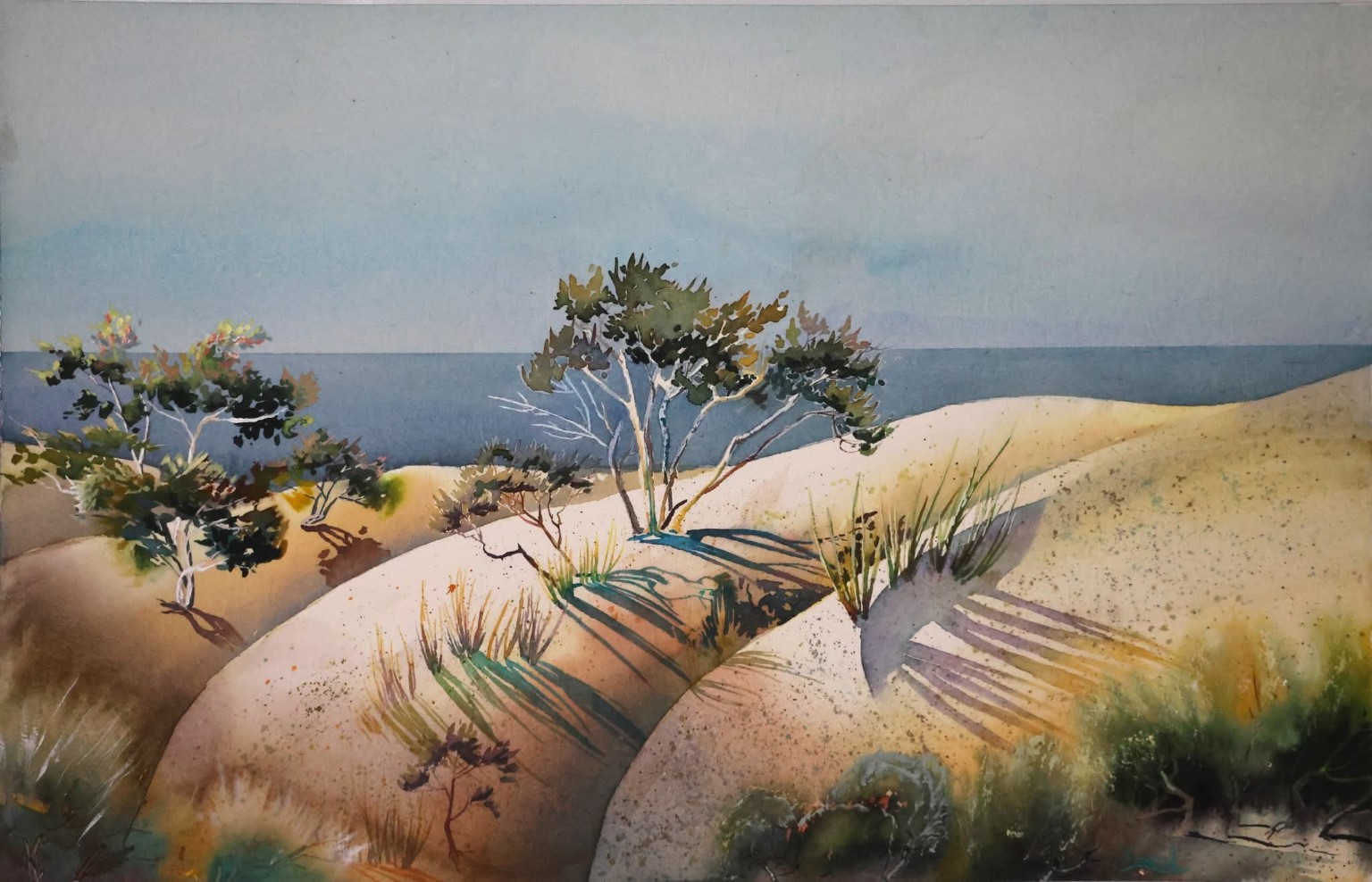 Coastal dunes with grasses and shrubs overlooking the sea