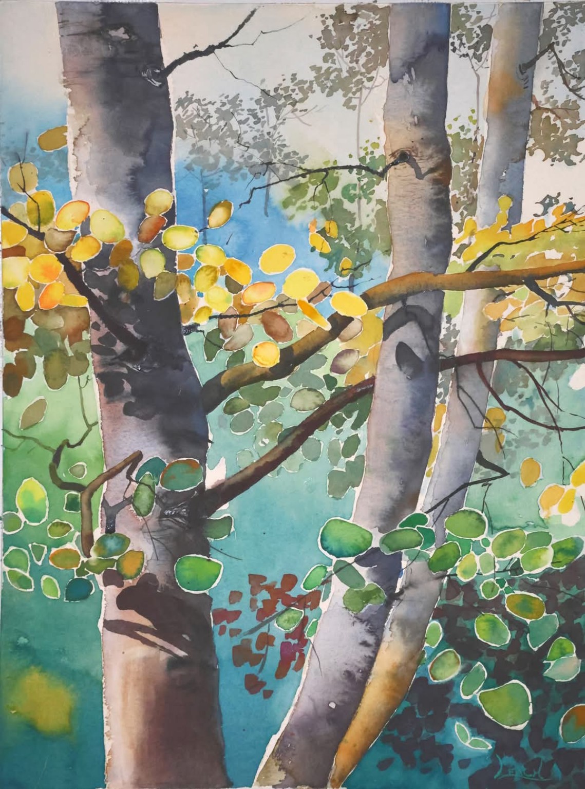 Tree trunks and branches with green and golden leaves